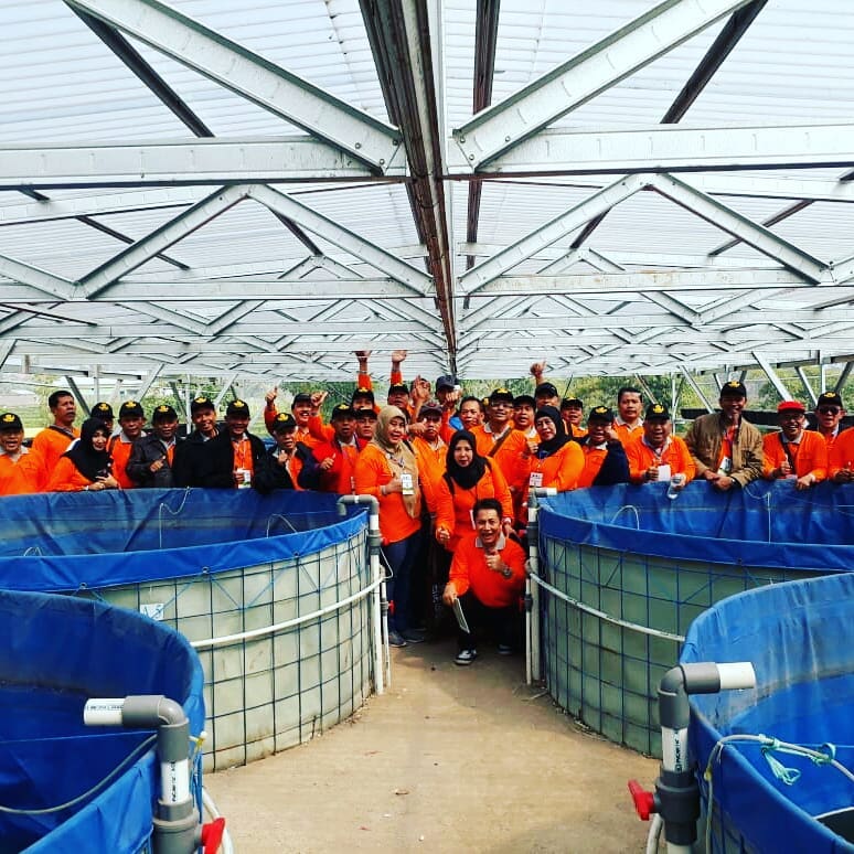 pelatihan budidaya ikan bandung dari KORPRI Jakarta