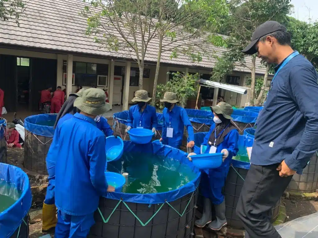 Uji Kompetensi Keahlian UKK APAT SMK 2026